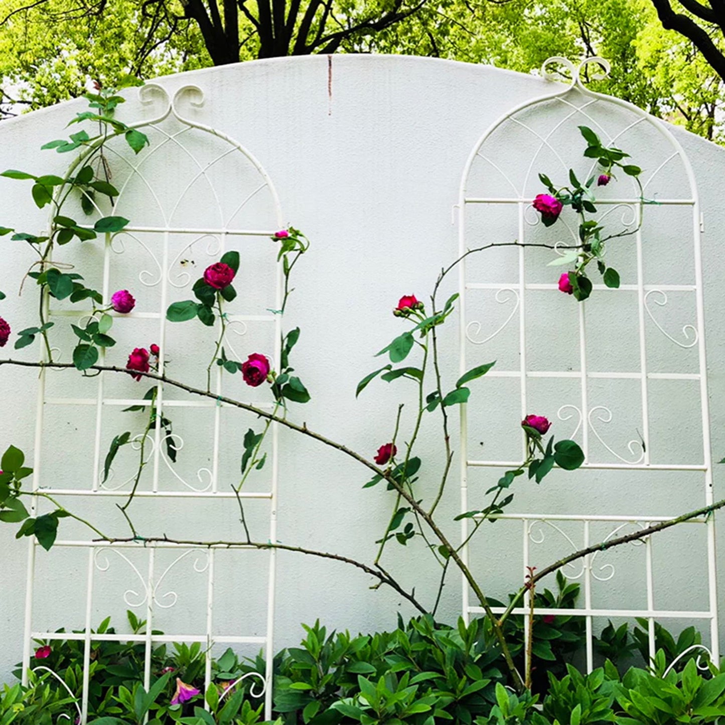Metal Garden Rustproof Trellis For Climbing Plants Outdoor Flower Support