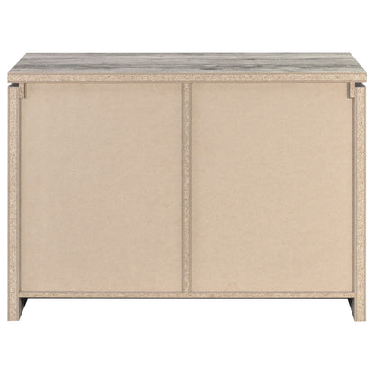 2 Door Accent Cabinet With Accents - Gray
