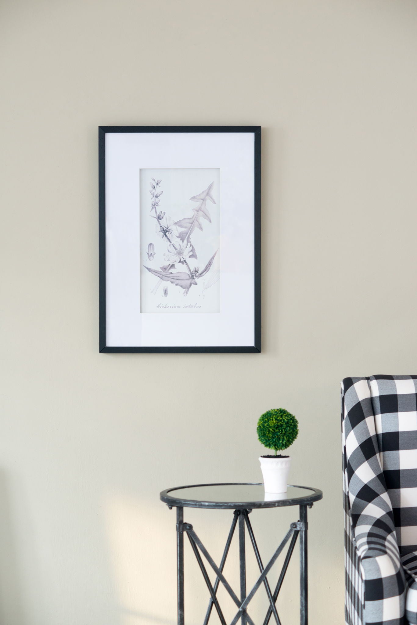 Botanical Wall Art Prints, Home Decor For Living Room Dining Room, Bedroom, Hallway (Set of 4) - White / Black