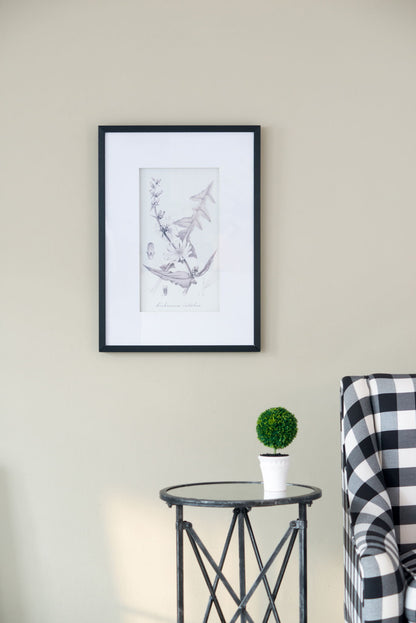 Botanical Wall Art Prints, Home Decor For Living Room Dining Room, Bedroom, Hallway (Set of 4) - White / Black