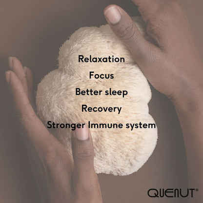 Mellow Adaptogen Blend Mexican Cacao