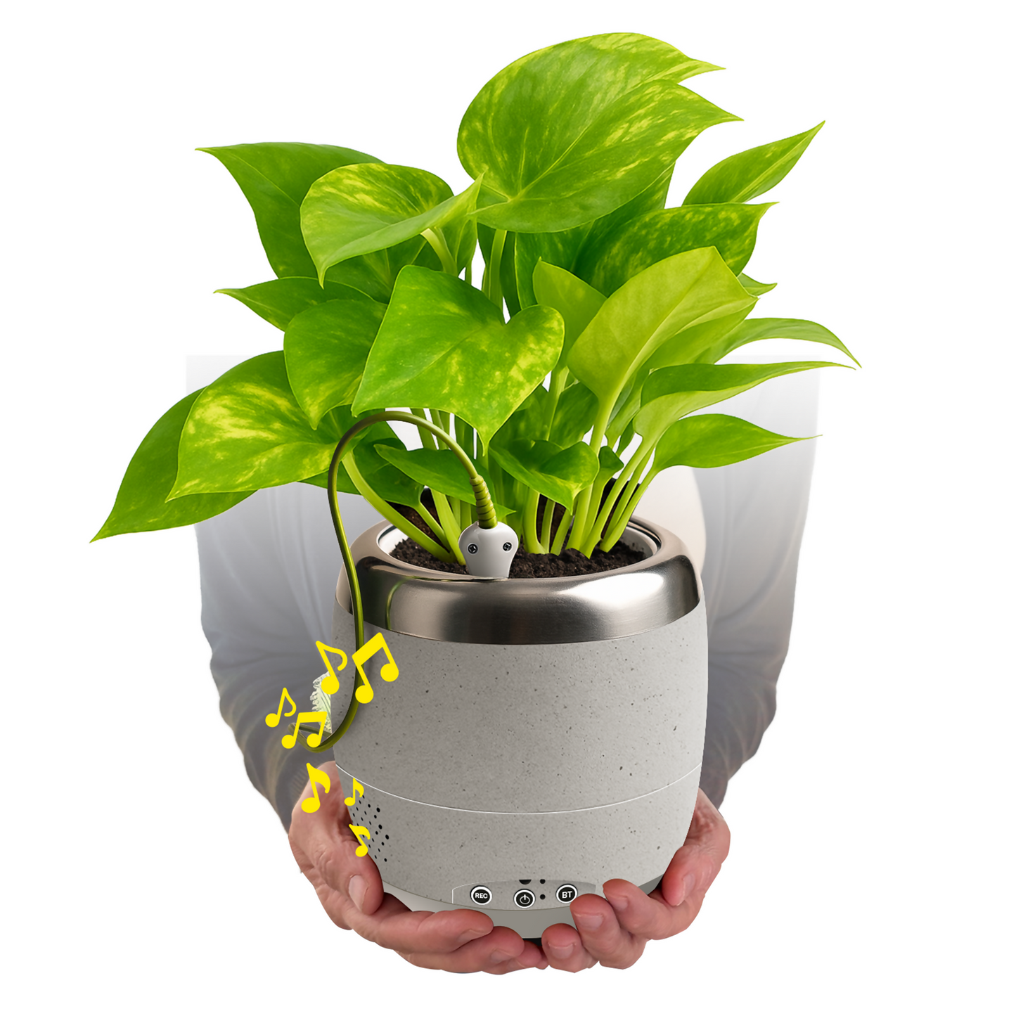 Plant Petz
