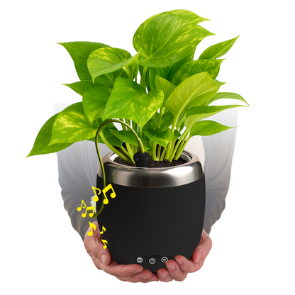 Plant Petz
