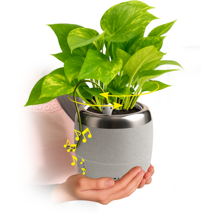 Plant Petz