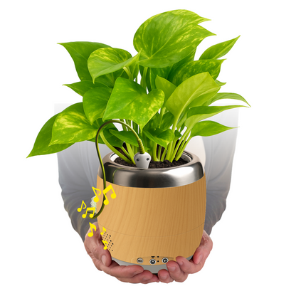 Plant Petz