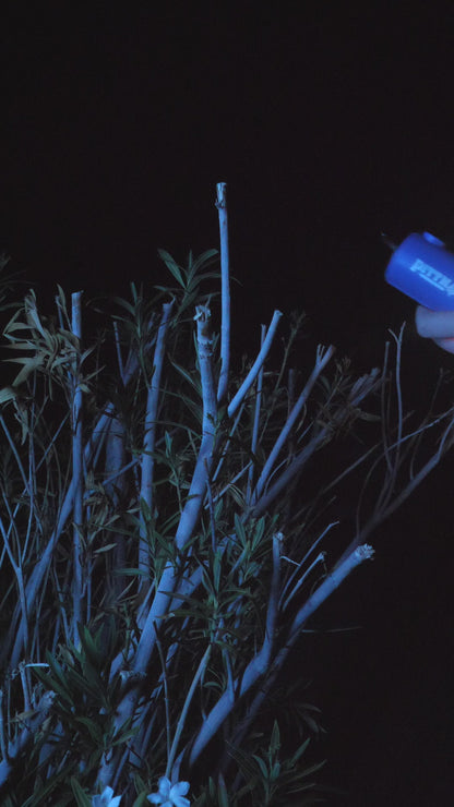 Pittman Outdoors PPI-MINI_PMP Rechargeable Mini Electric Air Pump & Camping Lantern