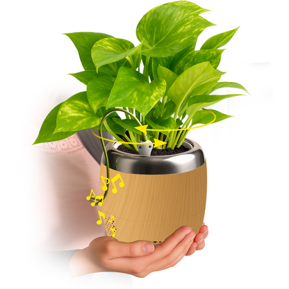 Plant Petz