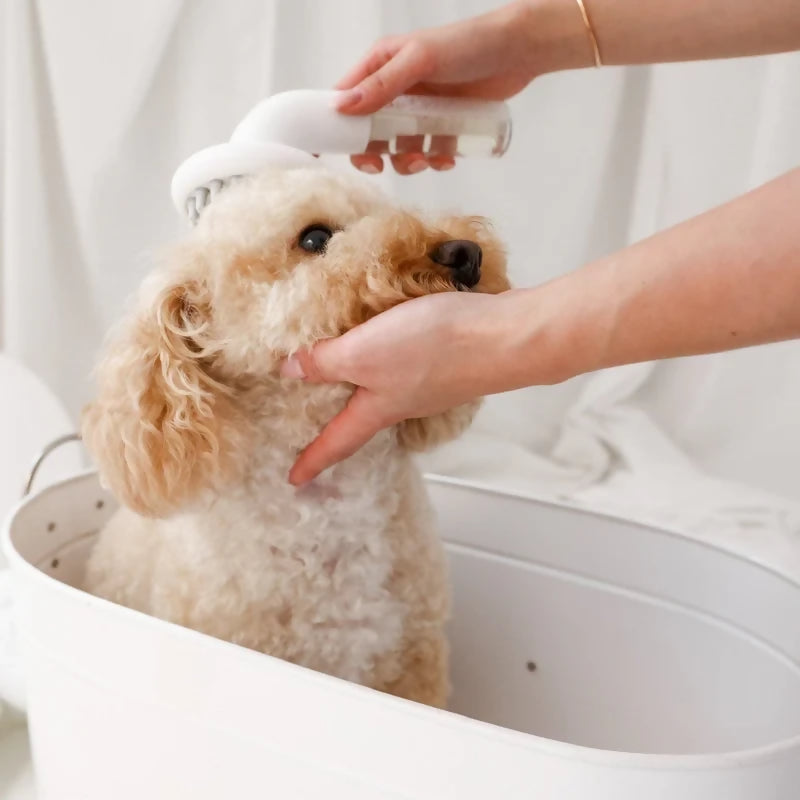 modu-massage-brush-2